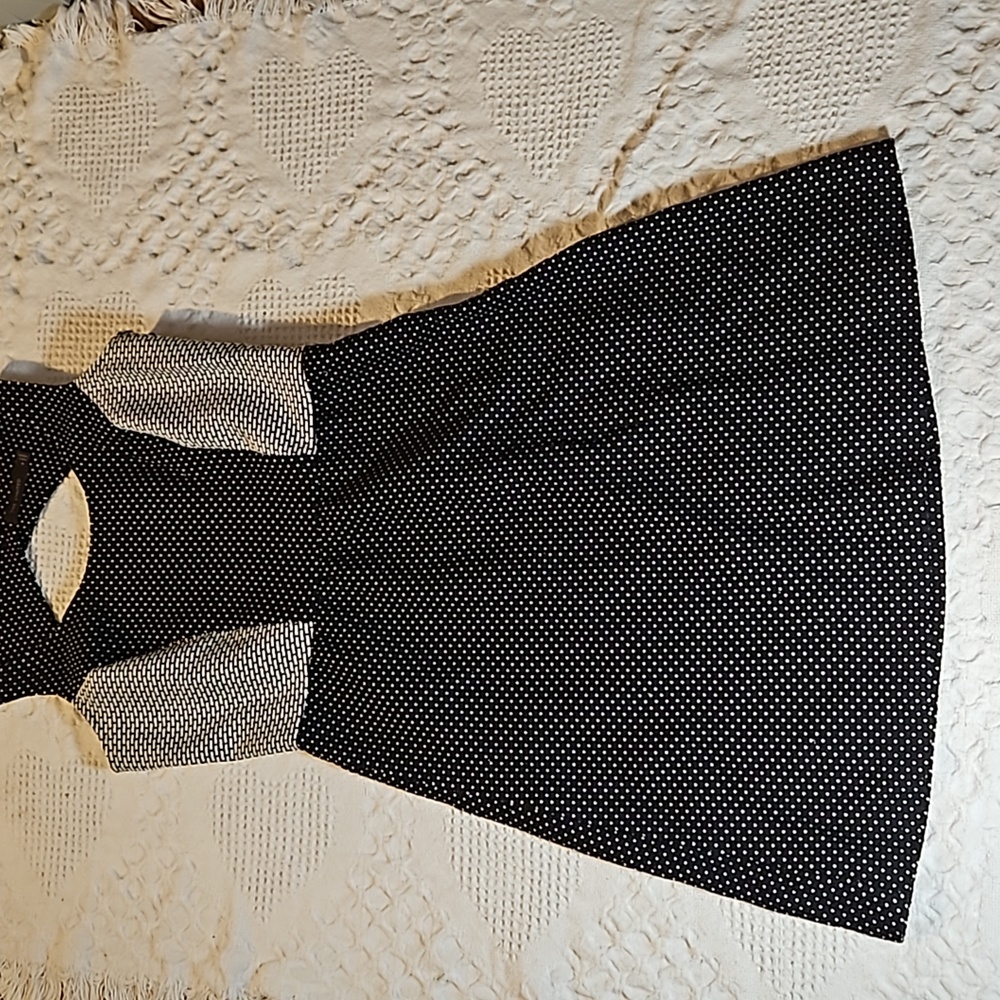 The Limited size 2 skater type dress